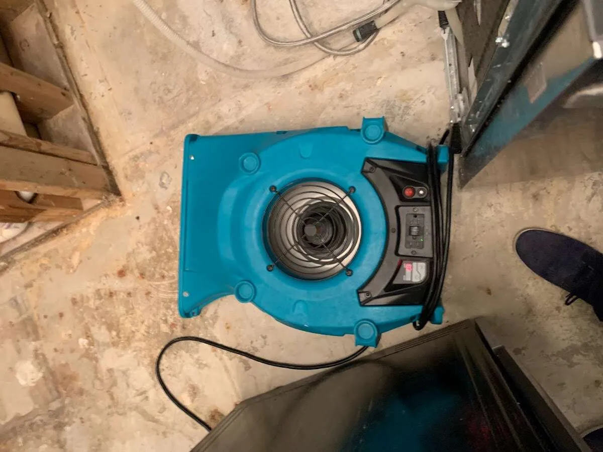 Air mover drying equipment for Mold Remediation & Removal in Statesboro