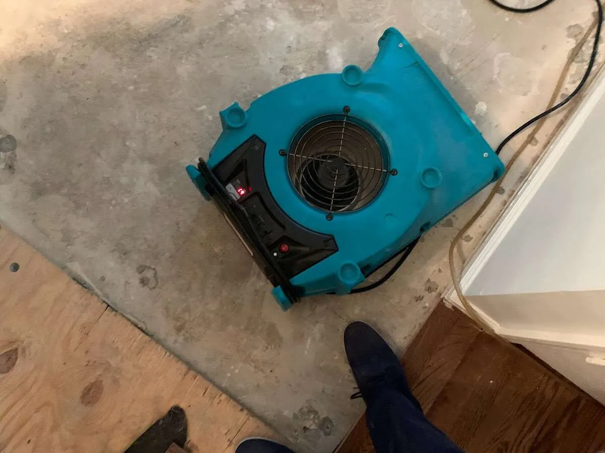 Air mover drying subfloor during Leak Detection & Repair in Statesboro